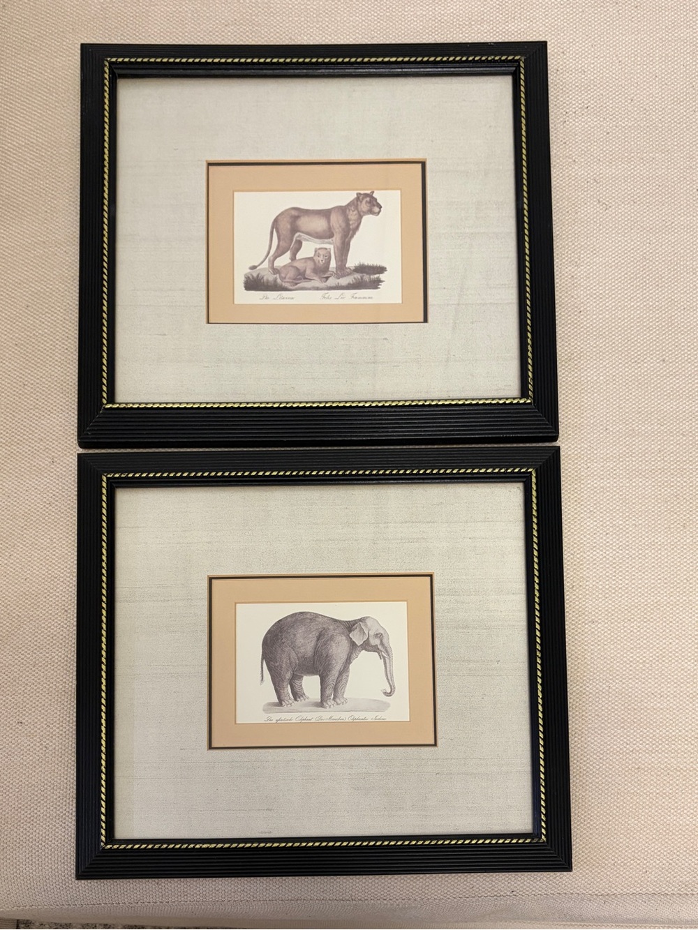 Set of 2 Framed Vintage Style Lioness n Elegant Lithograph Print – Framed